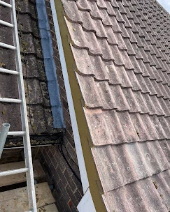 A ladder is attached to the roof of a house.